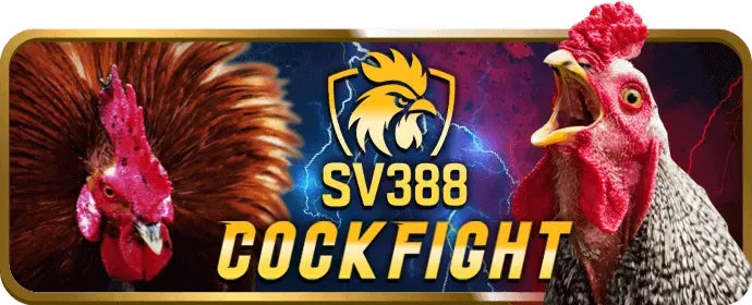 Tốc độ và hiệu suất vượt trội của 789bet app